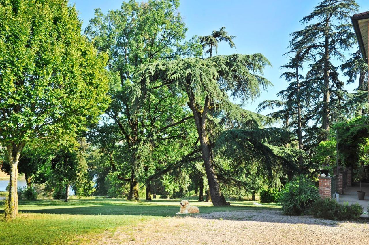 Clos Saint-Blaise Алби Екстериор снимка